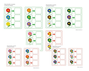 Fichier téléchargeable : Les fleurs de couleurs