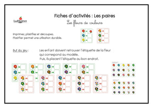 Fichier téléchargeable : Les fleurs de couleurs