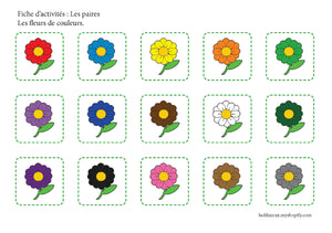 Fichier téléchargeable : Les fleurs de couleurs