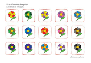 Fichier téléchargeable : Les fleurs de couleurs